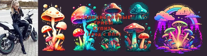 купить наркотики цена  сайты даркнета состав  Псилоцибиновые грибы Psilocybe  Верхняя Тура 